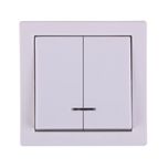 کلید دو پل روکار جهان الکتریک