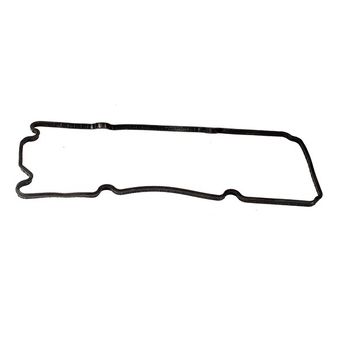 واشر درب سوپاپ تیبا رایاگستر در بسته بندی 1 عددی