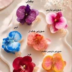 کلیپس ارکیده