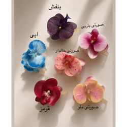 کلیپس ارکیده
