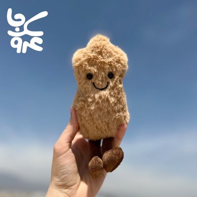 بادام زمینی بزرگ ساده