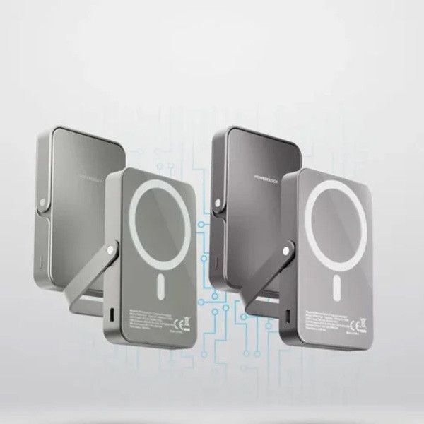 پاوربانک پاورولوژی