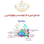 سکه گرمی طلا 18 عیار امین زر کد GL+900