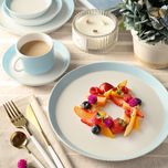 پیش دستی زی مدل فرم اس تخت کد 18 پاستل درجه عالی	بسته 6 عددی