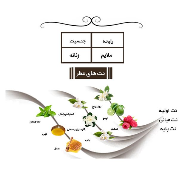 ادوپرفیوم زنانه ایفوریا مدل 1 میلیون لیدی حجم 30 میلی‌لیتر