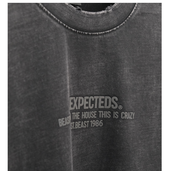 تیشرت مستر سنگشور طرح UNEXPECTEDS