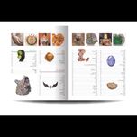 کتاب «دایره المعارف مصور جواهرات و سنگ های زینتی»