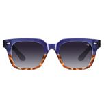 عینک آفتابی ویفرر آلبرت وگ مدل S31105C4 Polarized Avantgarde Visionary