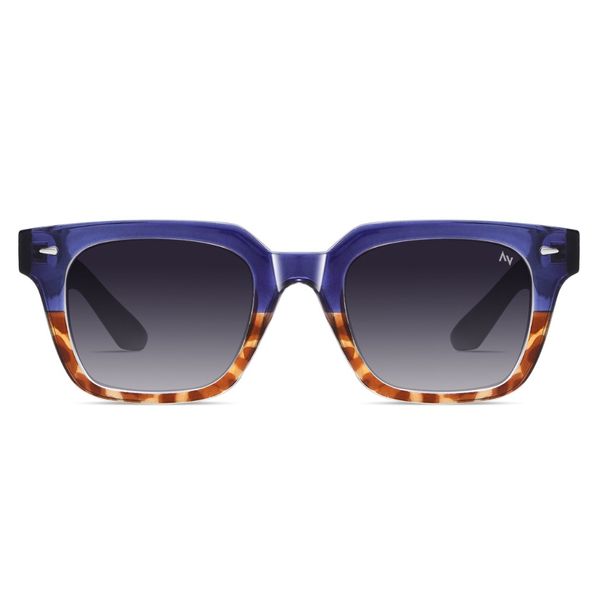 عینک آفتابی ویفرر آلبرت وگ مدل S31105C4 Polarized Avantgarde Visionary