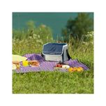 کیف خنک نگهدارنده کمپینز مدل Foldn 10L کد 2024