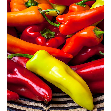 بذر فلفل پاپریکا 20عددی
