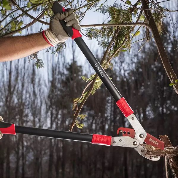 قیچی شاخه زن رونیکس مدل RH-3122Premium