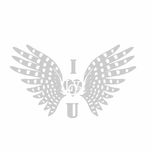 برچسب بدنه خودرو رادیانس طرح I Love کد B59