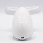 ماساژور برقی صورت