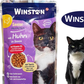 پوچ گربه وینستون مرغ