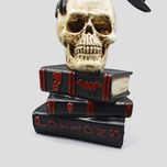مجسمه مدل کلاغ و جمجمه و کتاب