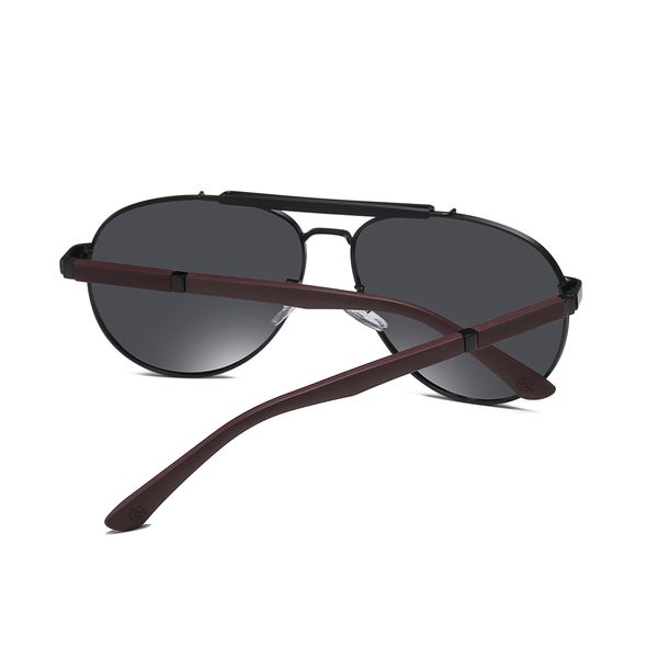 عینک آفتابی مردانه آلبرت وگ مدل 6315C04-P01 Polarized Avantgarde Visionary