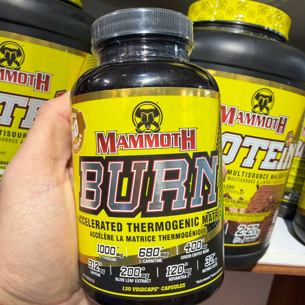 چربی‌سوز ماموت برن (MAMMOTH BURN)