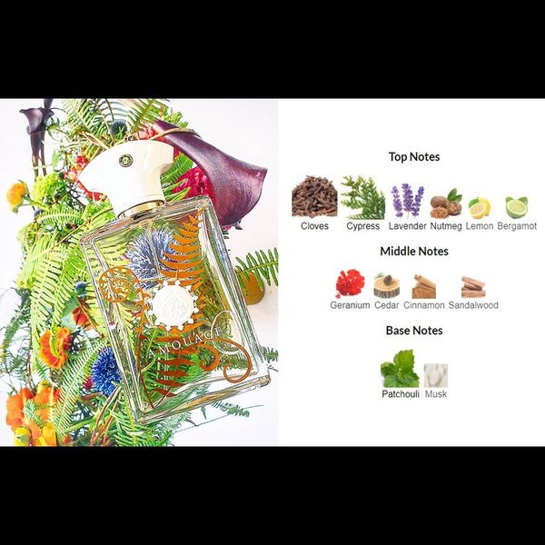 عطر ادکلن آمواج براکن مردانه | Amouage Bracken Man