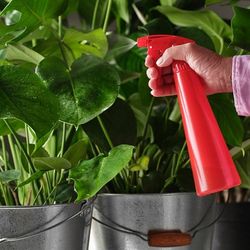 ابپاش ایکیا سری TOMAT