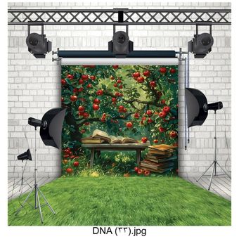 بکدراپ طرح تحصیلی کد 33