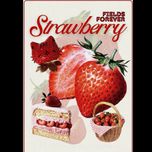پوستر طرح توت فرنگی(وینچ)