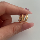 گوشواره استیل ریز استیل درجه یک