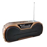 رادیو شارژی اورجینال GOLON مدل RX-433BT