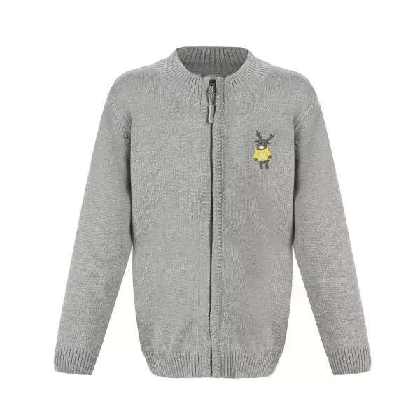 ژاکت پسرانه آی چیلک مدل پانی