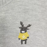 ژاکت پسرانه آی چیلک مدل پانی