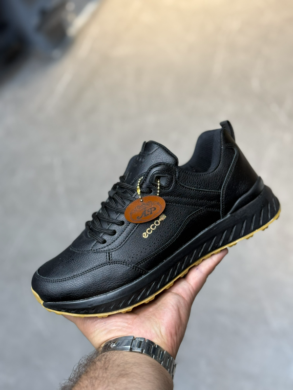 070 eccoکفش 2