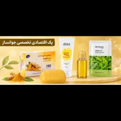 پک اقتصادی تخصصی جوانساز
