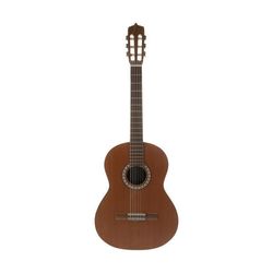 گیتار کلاسیک پارسی مدل M6