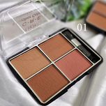 پالت رژ گونه 4 عددی از برند GOSH COLOR