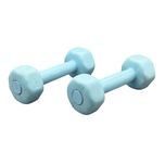 دمبل چند ضلعی وزن 1 کیلوگرم مدل GS-M-Six-113822 بسته دو عددی