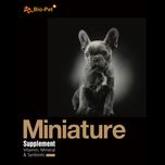 مکمل سگ آپاتمانی بایو پت مدل Miniature وزن 500 گرم
