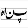 گالری طلای پناه