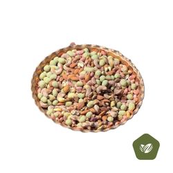 ناتس کیدز نمکی