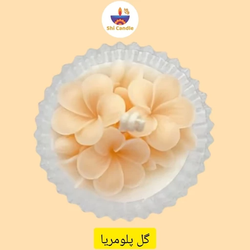 قالب سیلیکونی گل پلومریا