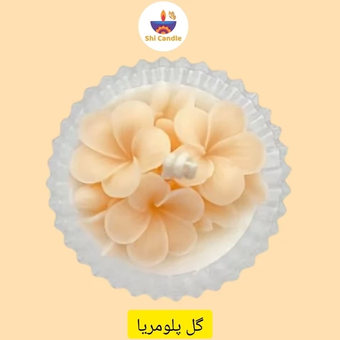 قالب سیلیکونی گل پلومریا