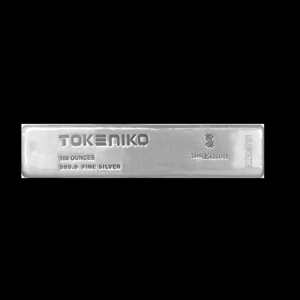 شمش نقره 100 اونسی توکنیکو