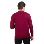 پلیور مردانه مدل  داخل خز*31