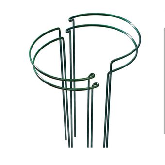 قیم نگهدارنده گیاه مدل سانسوریا بسته 4 عددی