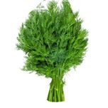 بذر شوید 6 گرم