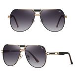 عینک آفتابی خلبانی (Aviator) مردانه آلبرت وگ مدل JS8549-C218-P120 Polarized Avantgarde Visionary