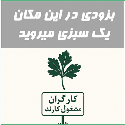 بادمجان کبابی - 500 گرم