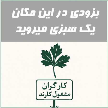 بادمجان کبابی - 500 گرم