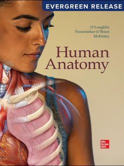 Human Anatomy: 2024 Release/Evergreen