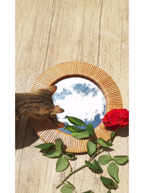 آینه خورشیدی حصیری استودیو راح