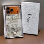 VIP DIOR قاب دیور